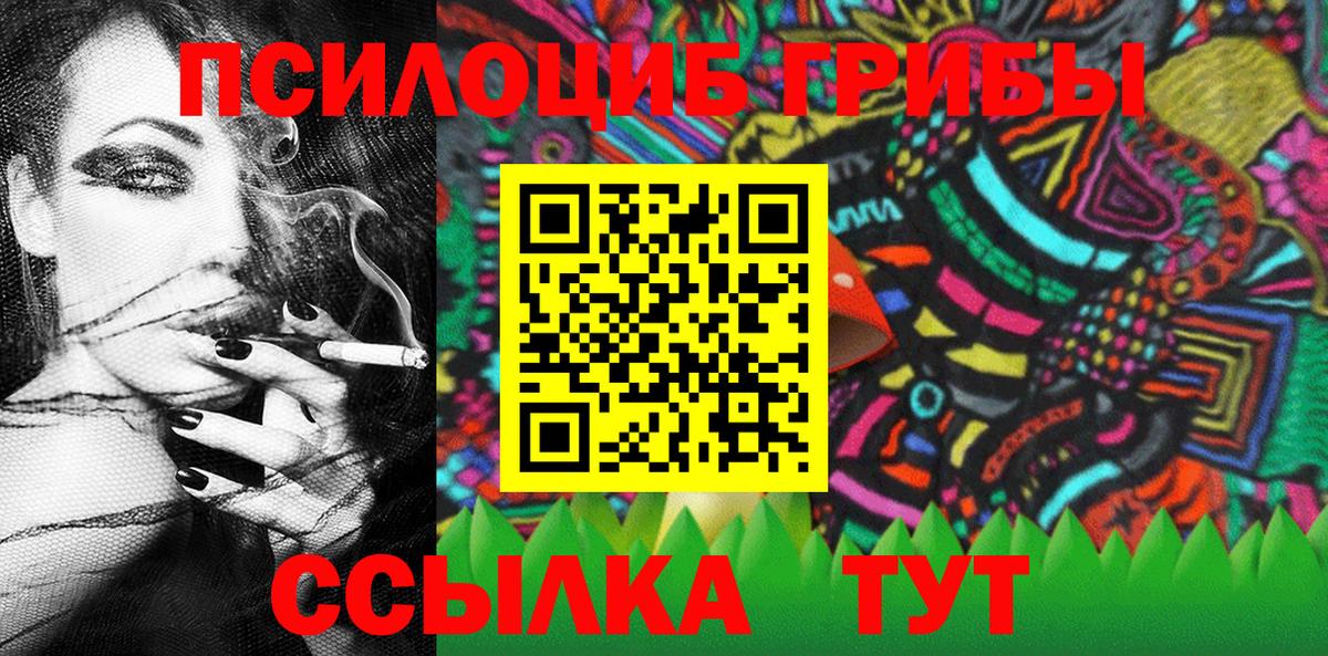 Галлюциногенные грибы Cubensis Богородицк